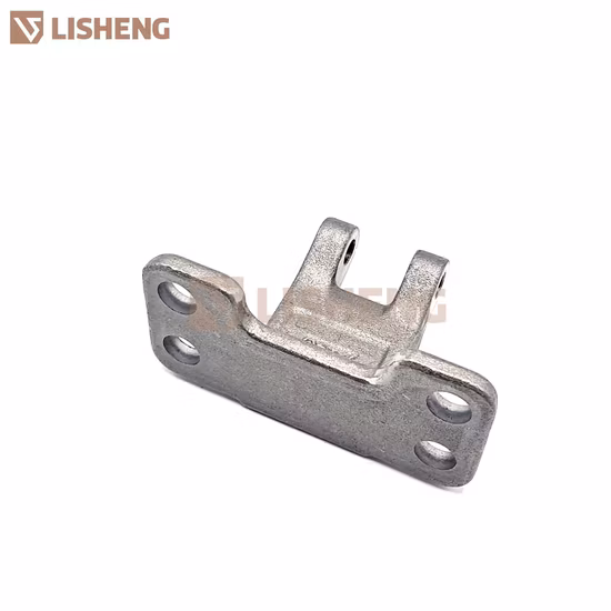 Macchina per il taglio dei metalli laser CNC/Servizi di fabbricazione dei metalli/Acciaio